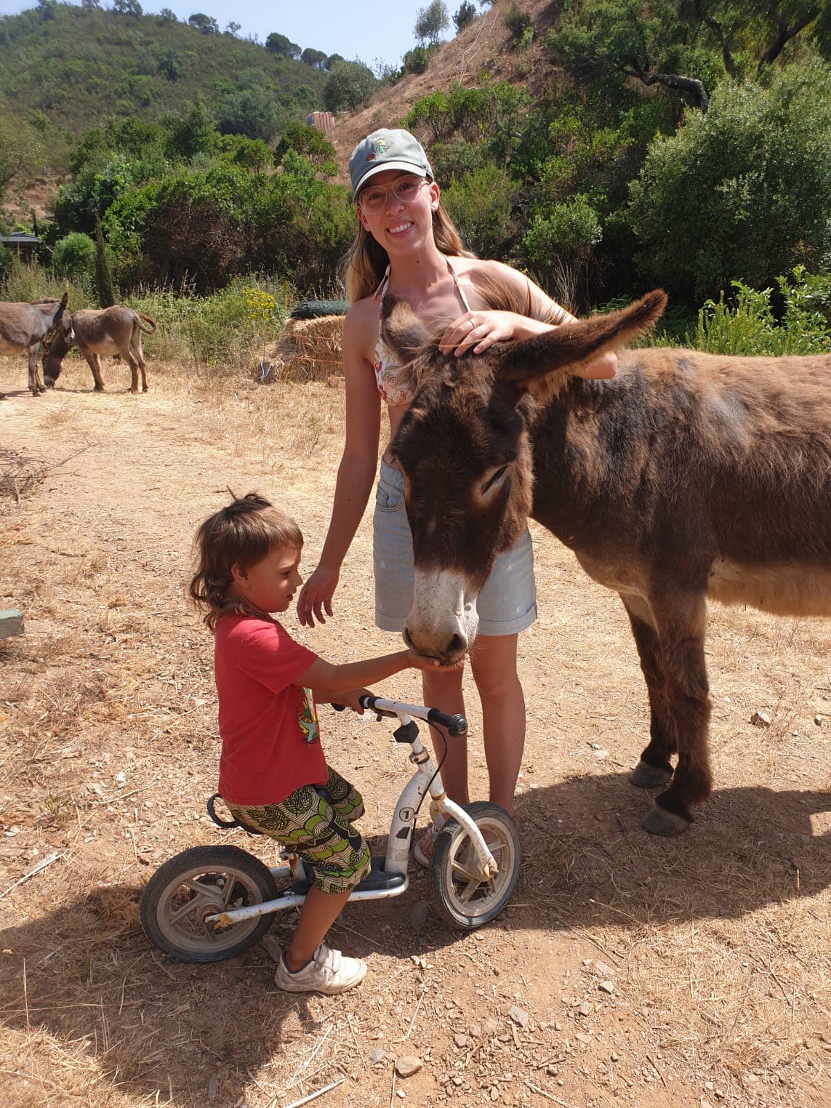 Volunteer with the donkeys